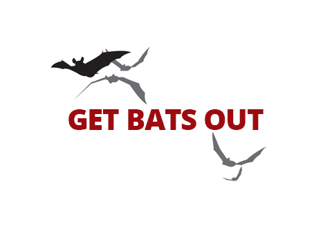 Get Bats Out Brandon logo
