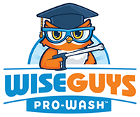 WiseGuys Pro-Wash logo