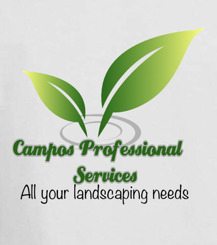 Avatar for Campos Professional services