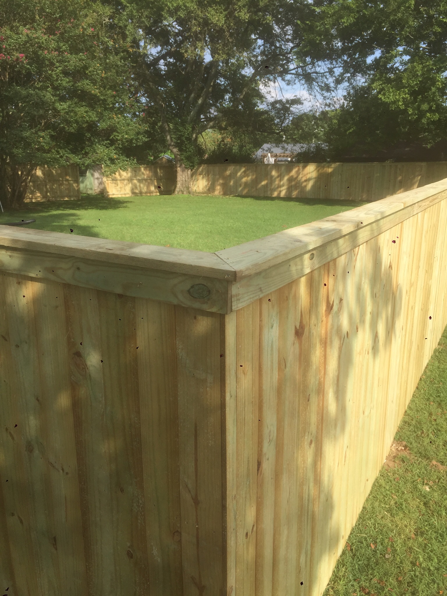 Avatar for Lacrosing wood fences