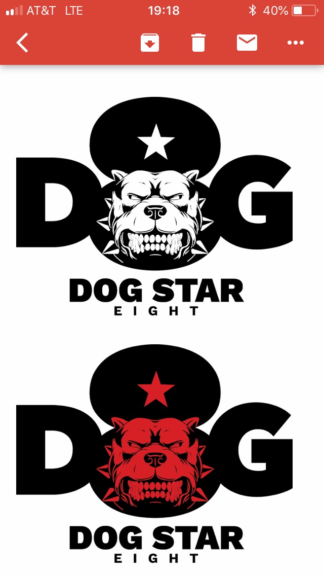 Dog Star 8 LLC logo