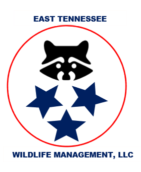 Avatar for East TN Wildlife Management, LLC
