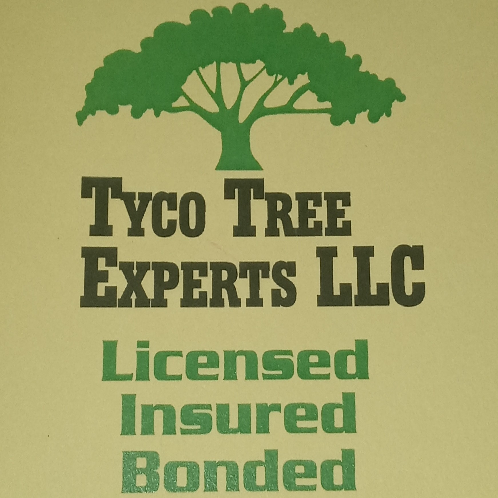 Avatar for Tyco Tree Experts LLC