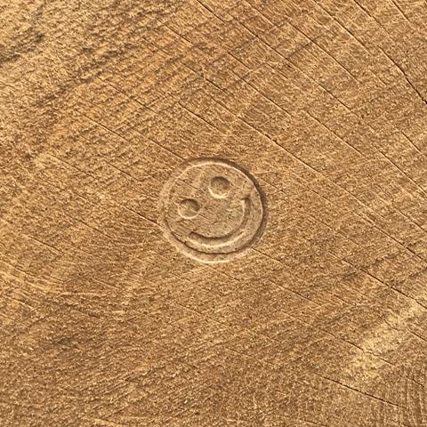 DC JR Veneer & Timber Co. logo