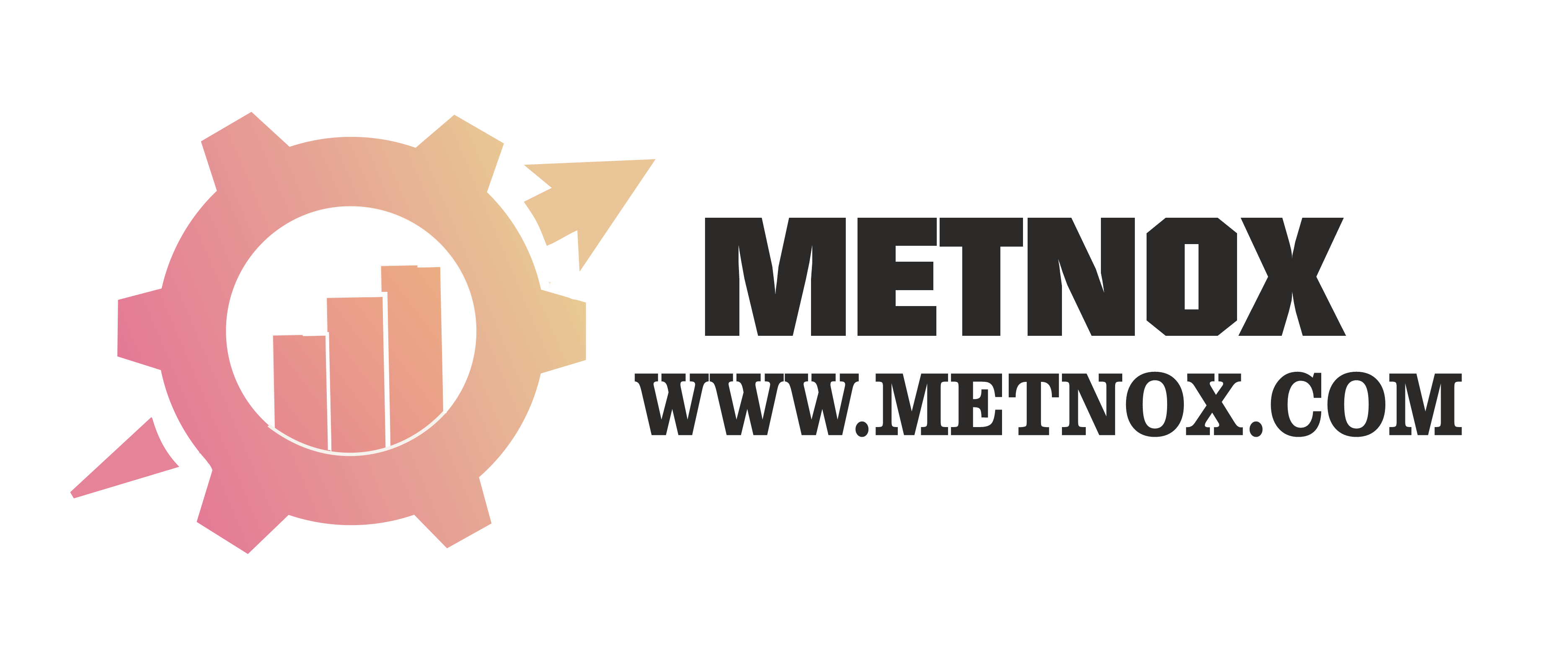Metnox INC logo