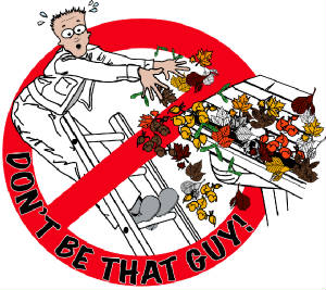 That Gutter Guy Inc logo
