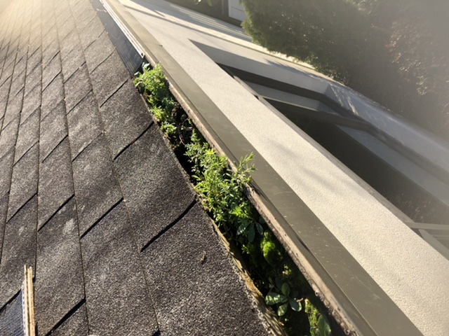 Newell's Gutter Cleaning and Screening logo