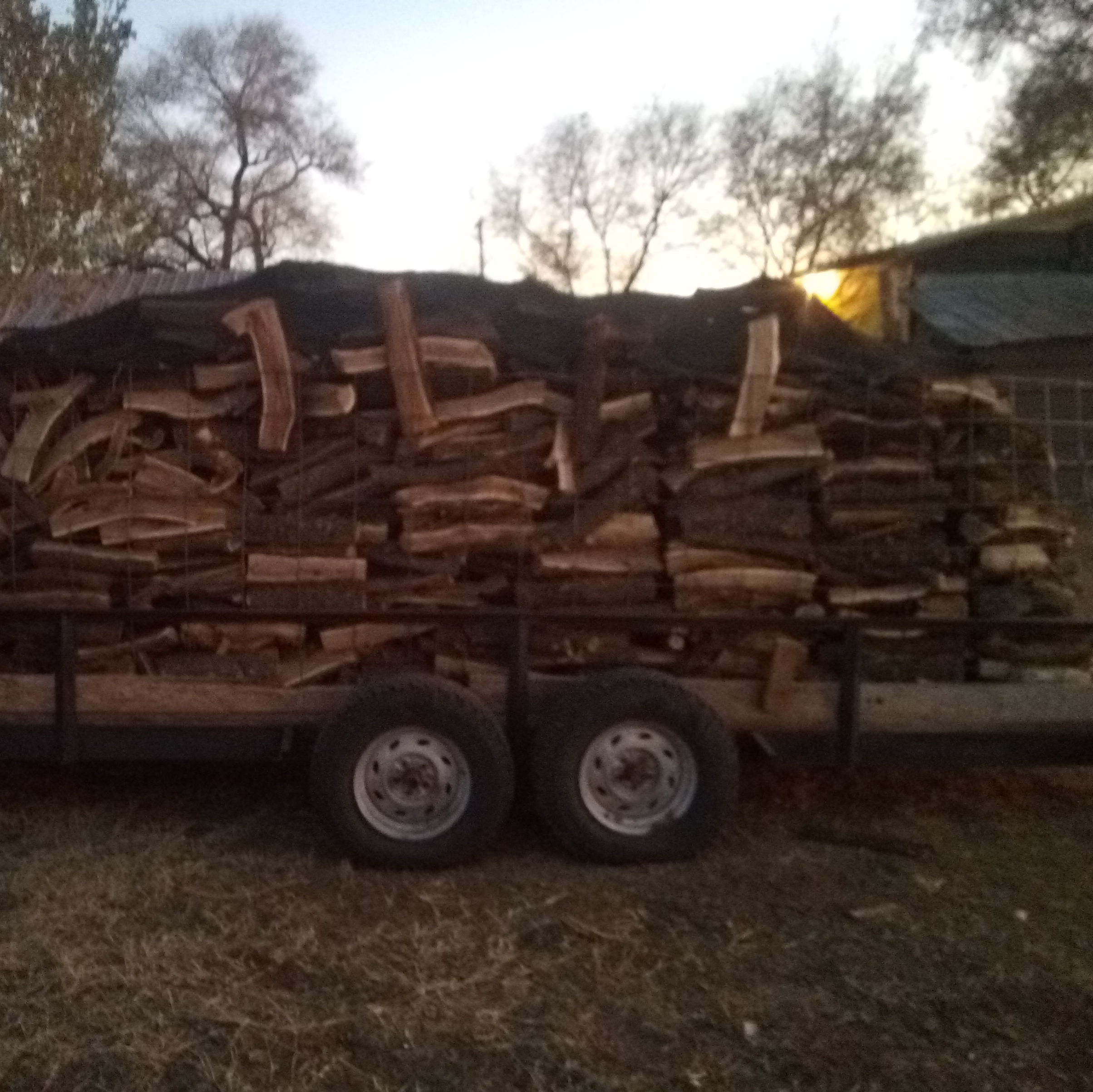 Avatar for Maddox Firewood