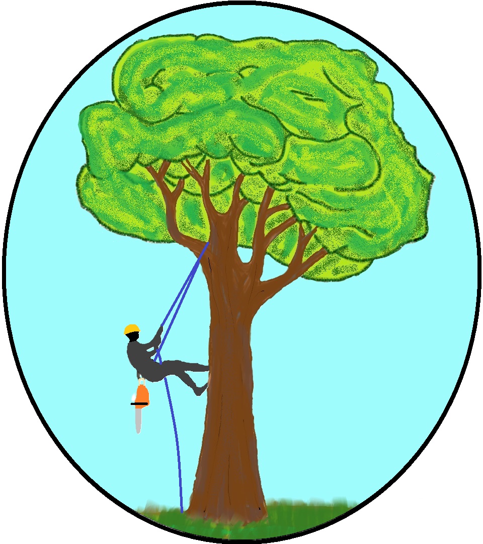 Avatar for Milwaukee Tree Climber, LLC