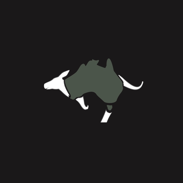 AUS ELECTRIC LLC logo