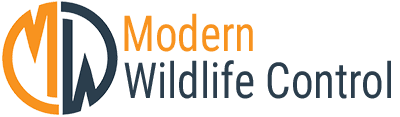 Avatar for Modern Wildlife Control