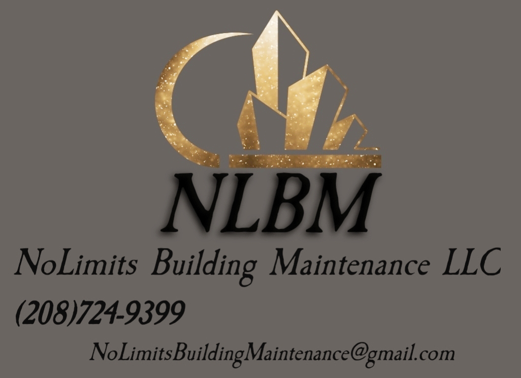 No Limits Building Maintenance logo