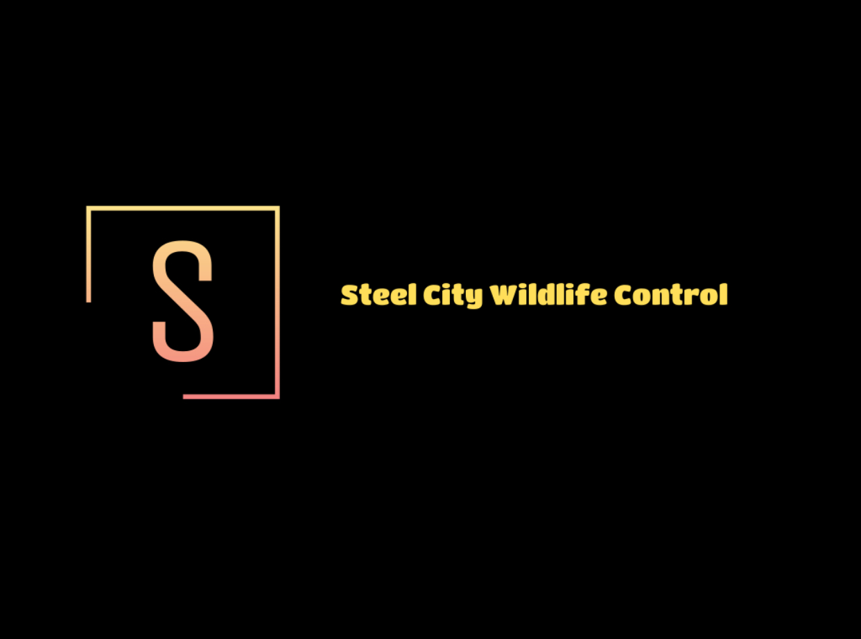 Steel City Wildlife Control logo