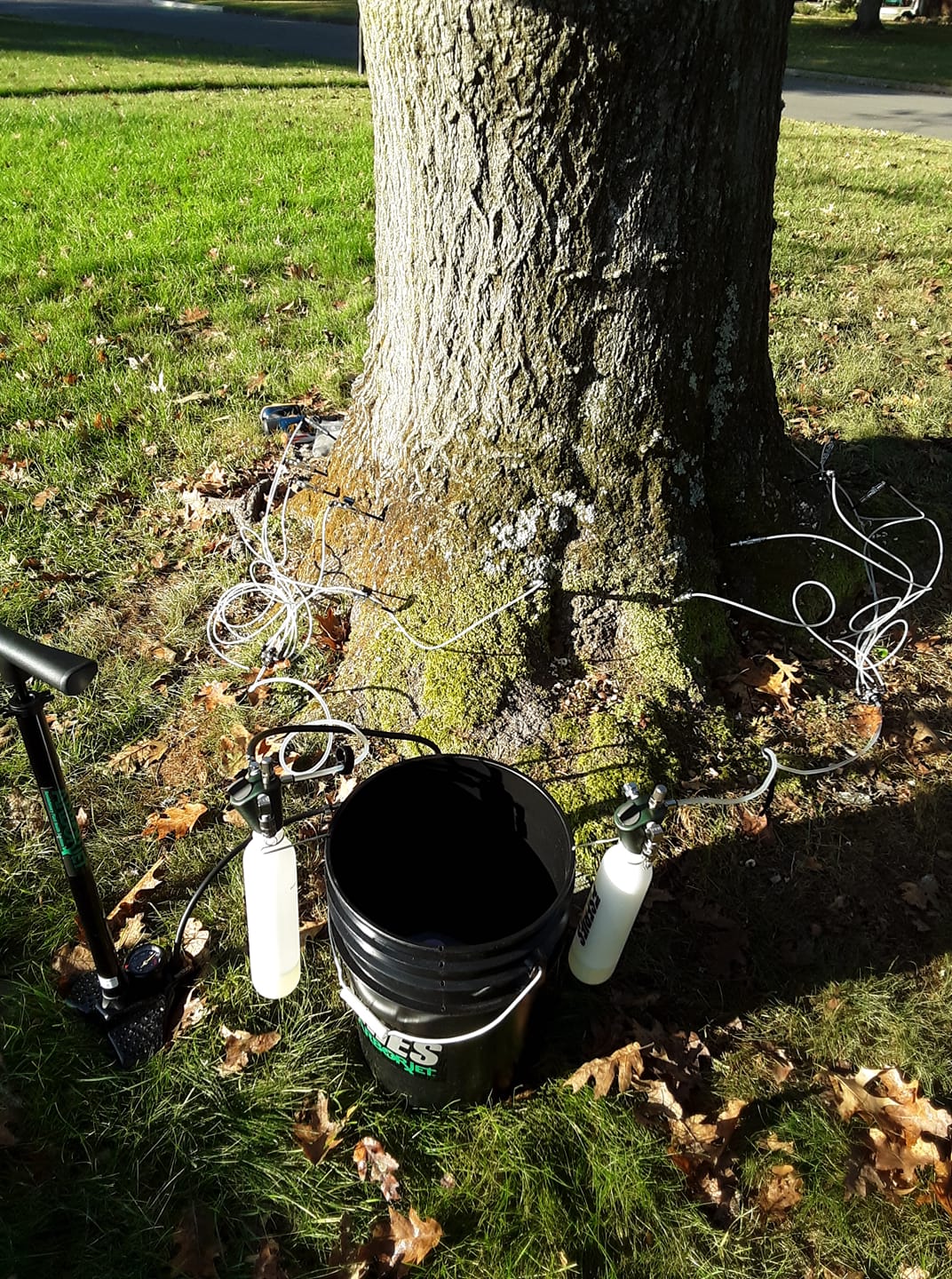 Avatar for Timber Sales & Management