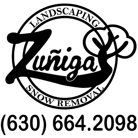 Avatar for Zuniga Landscaping