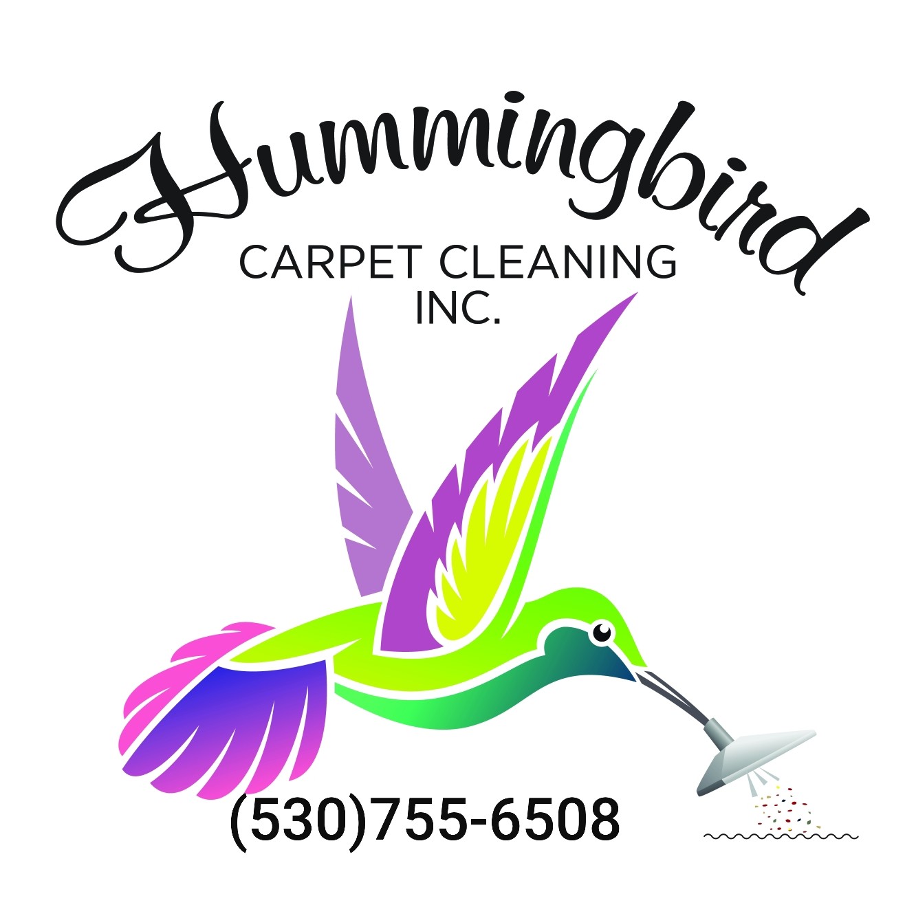 Avatar for Hummingbird Carpet Cleaning