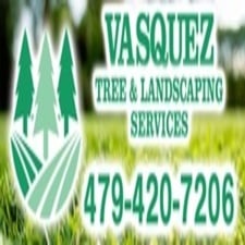 Avatar for Vasquez Tree and Landscaping Services