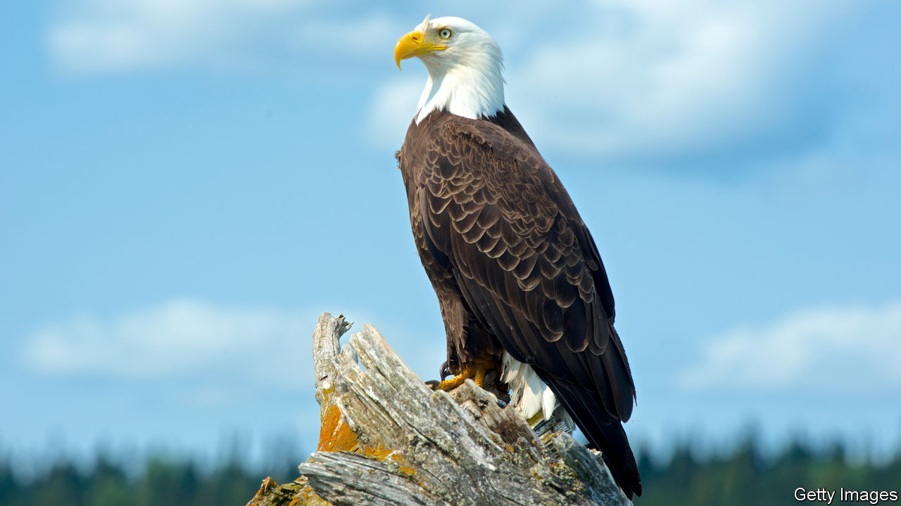 Avatar for 6DK Enterprises Inc.