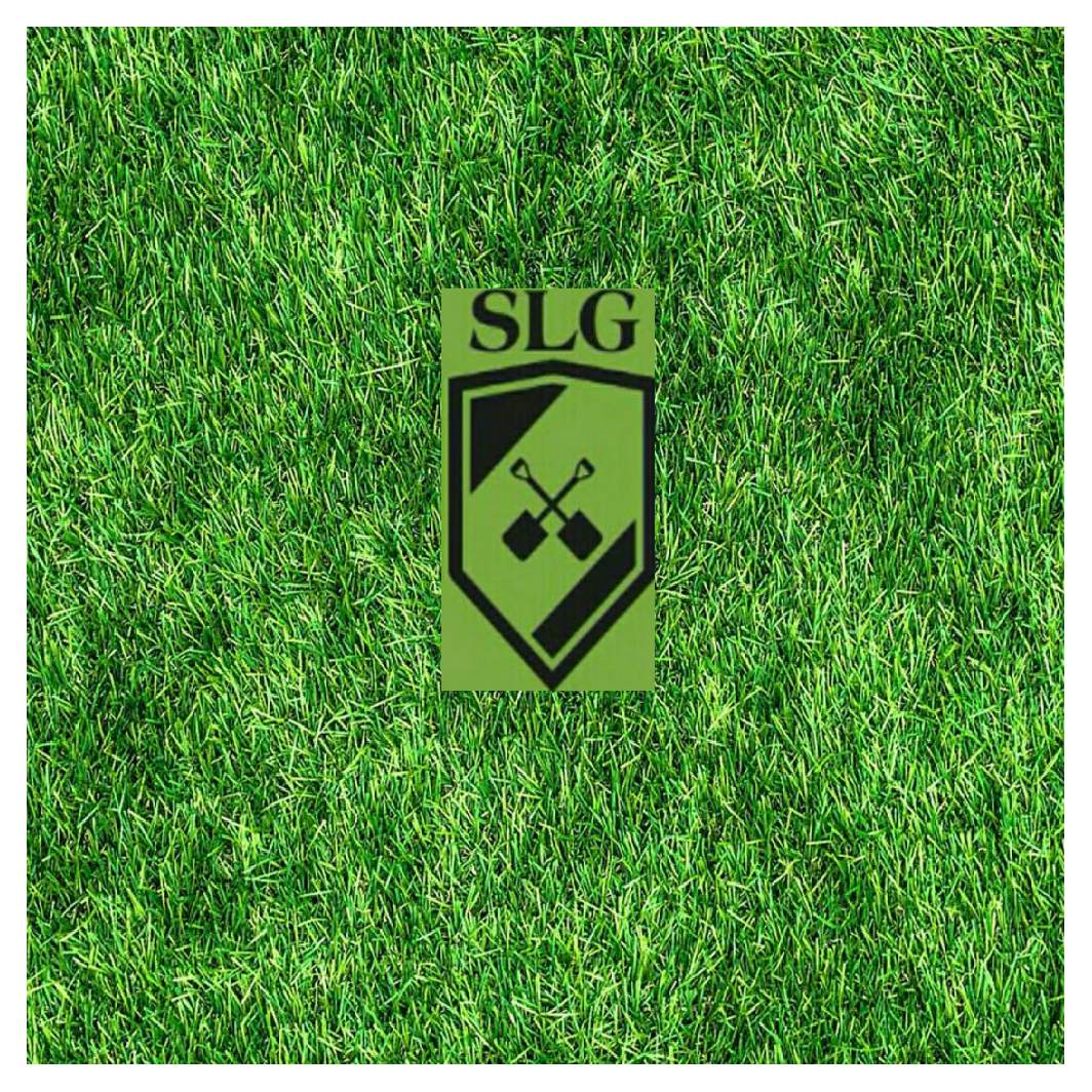 Slg garden & masonry services logo