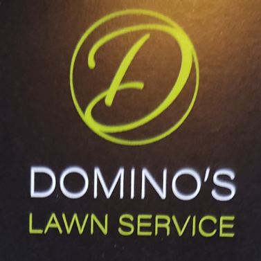 Avatar for Domino's Lawn Care