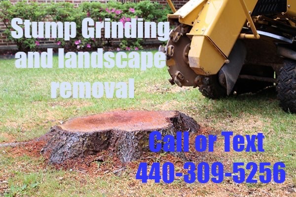 Beanes stump grinding logo