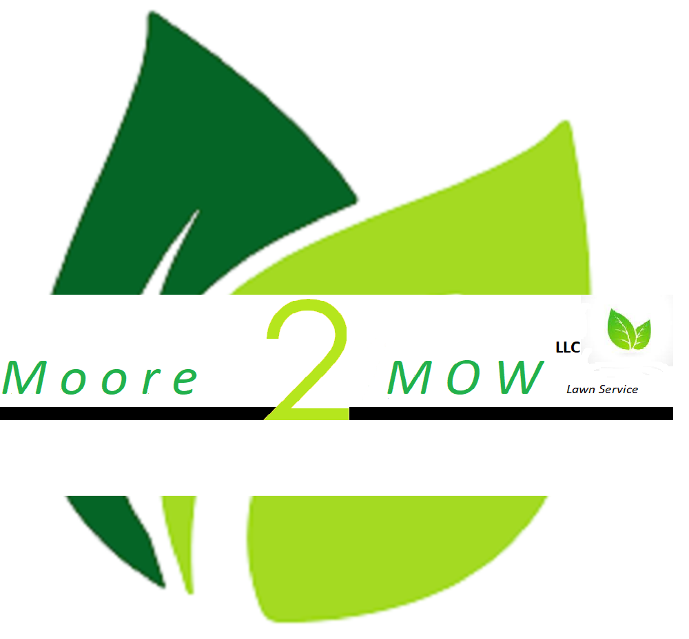 Avatar for Moore 2 Mow LLC