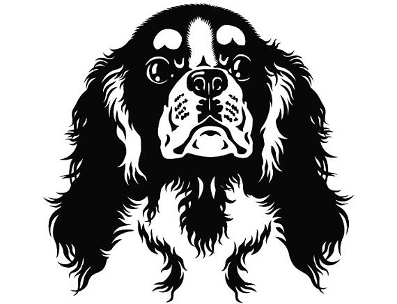 Buddy's Handyman Service logo