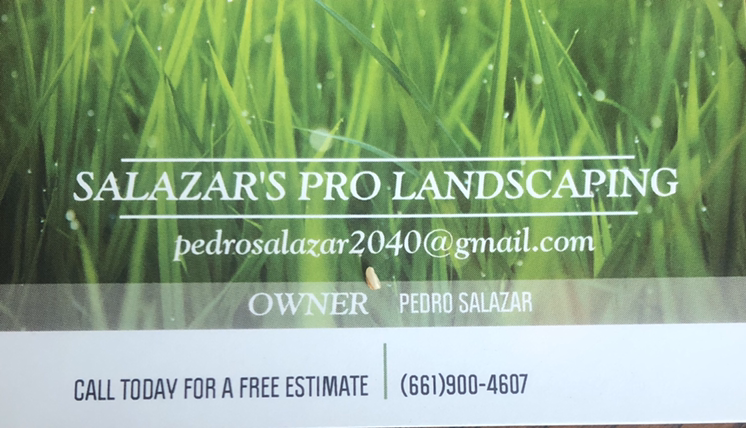 Avatar for Salazars Pro Landscaping