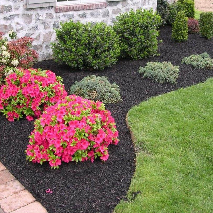 Avatar for You Grow It, We Mow It