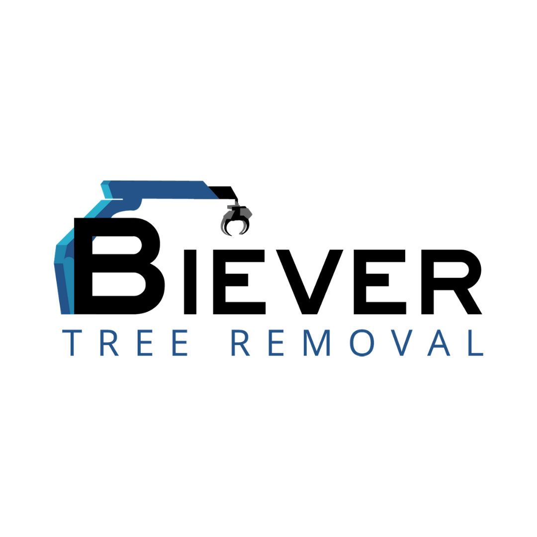 Avatar for Biever Tree Removal LLC