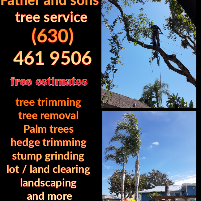Father and Sons Tree Service logo
