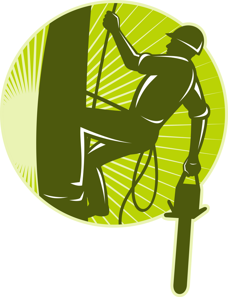 Mike Timbers Tree Removal Service logo