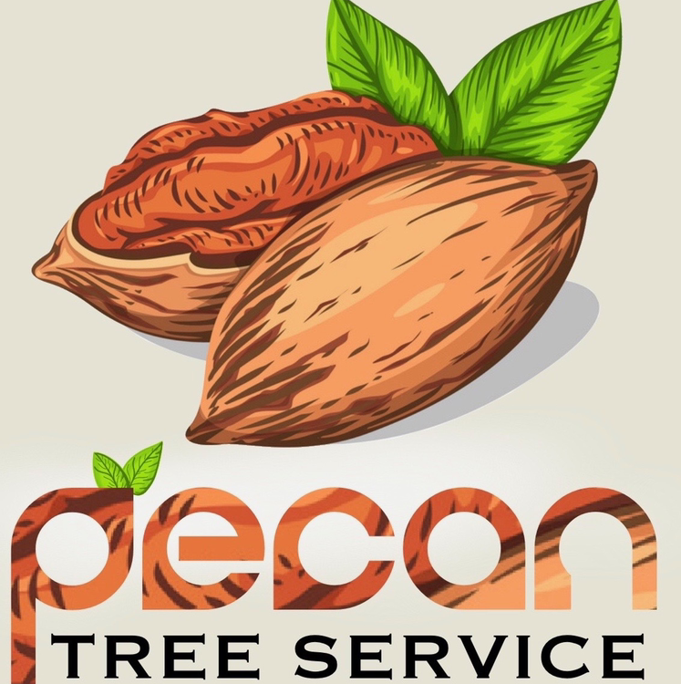 Pecan Tree Service logo