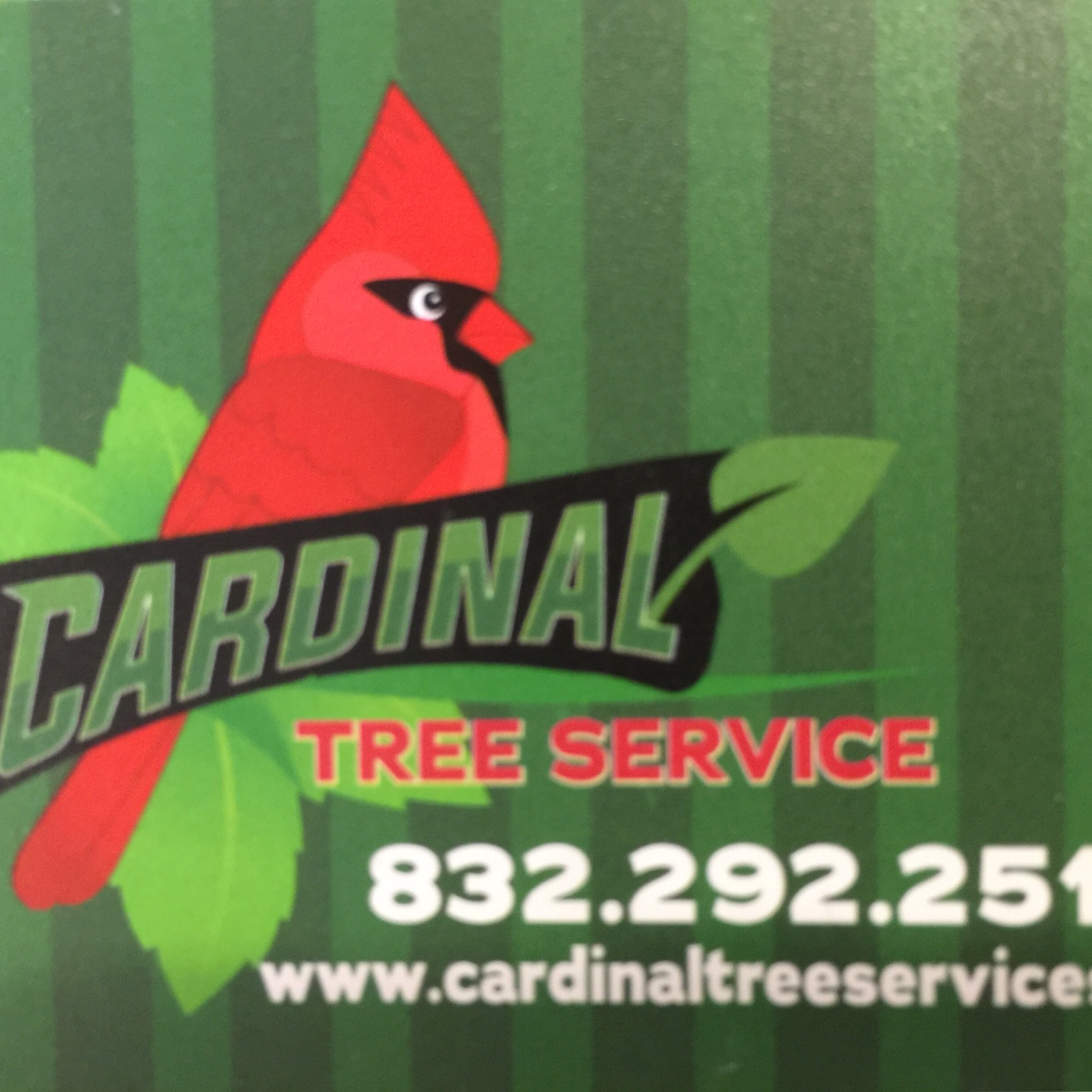 Avatar for Cardinal Tree Service