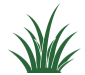 StayGreen USA logo