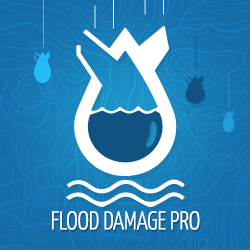 Logo for Flood Damage Pro