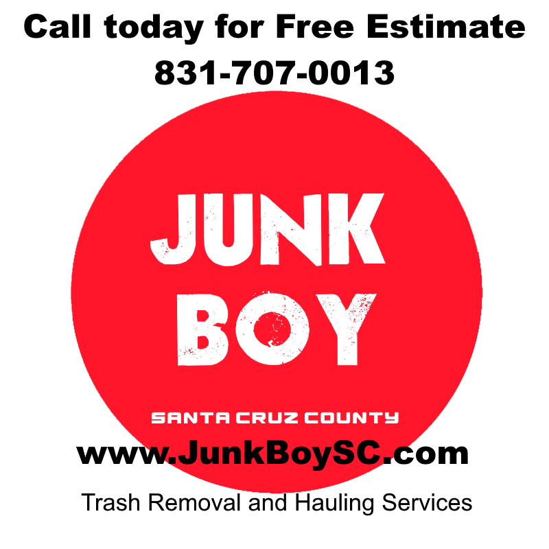 Junk Boy logo