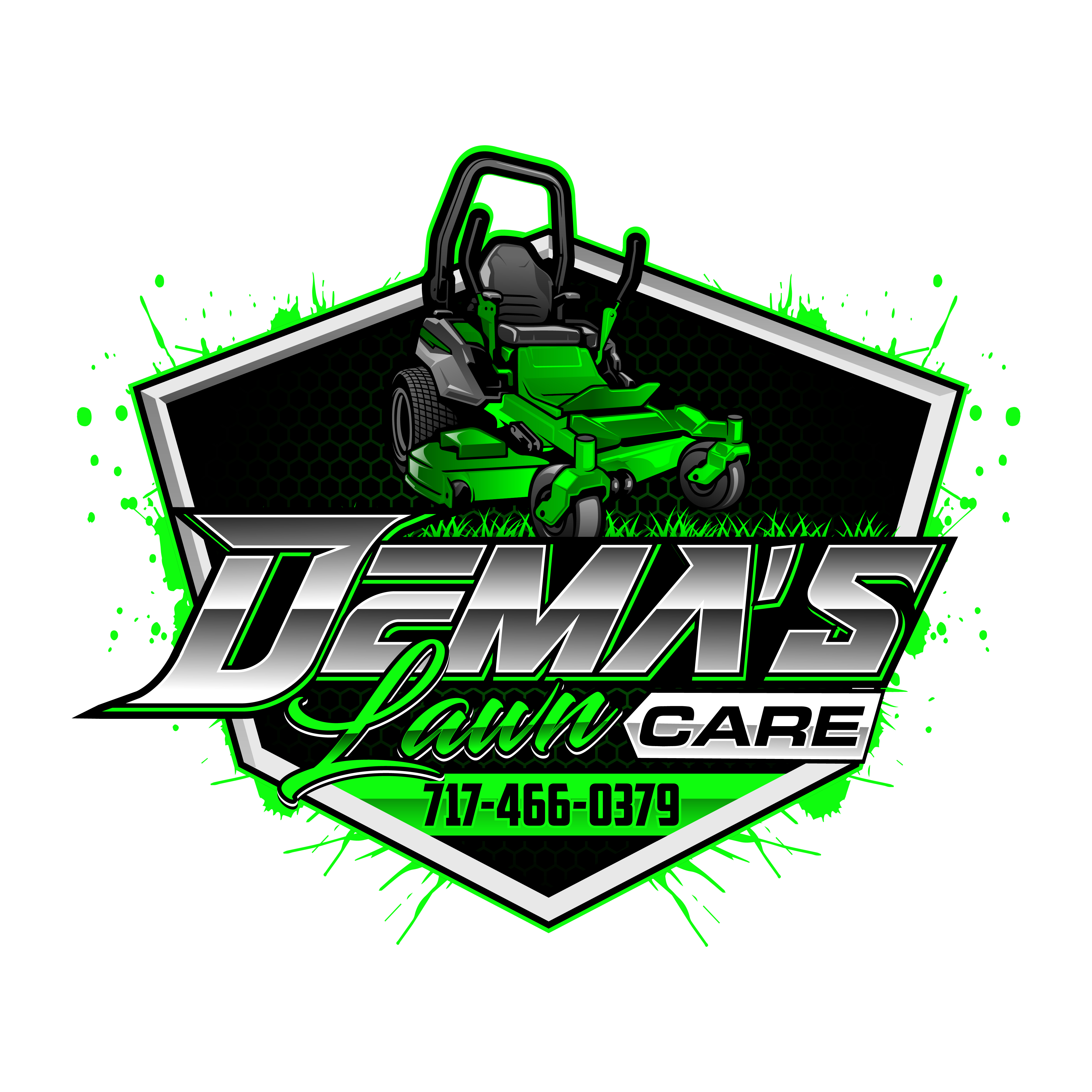DEMA'S LAWN CARE logo