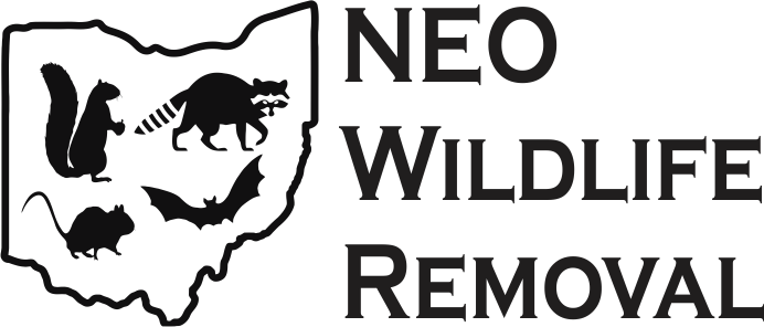 NEO Wildlife Removal logo