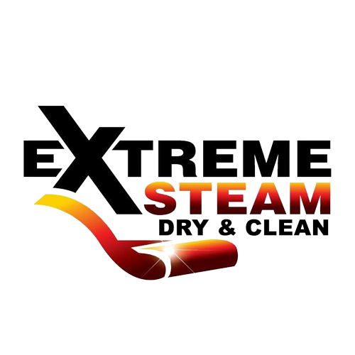Avatar for Extreme Steam & Dry Clean