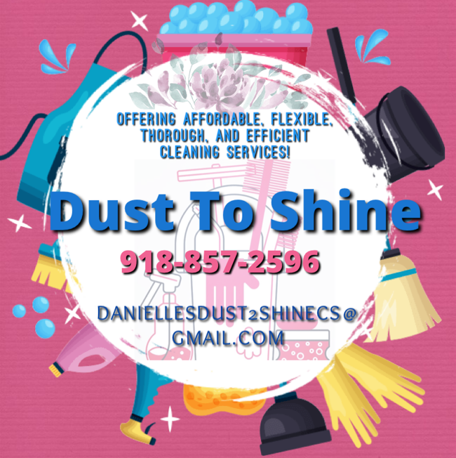 Dust To Shine Cleaning Service logo
