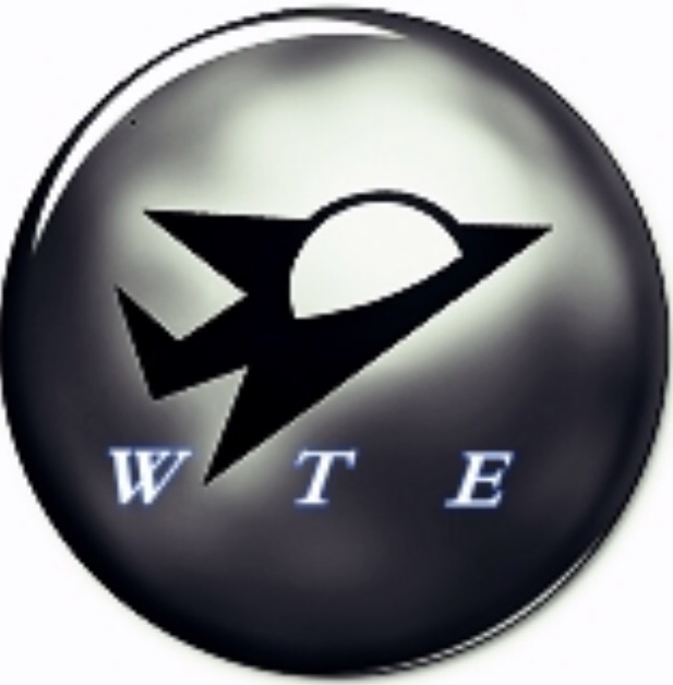 WTE Reconditioning Services logo