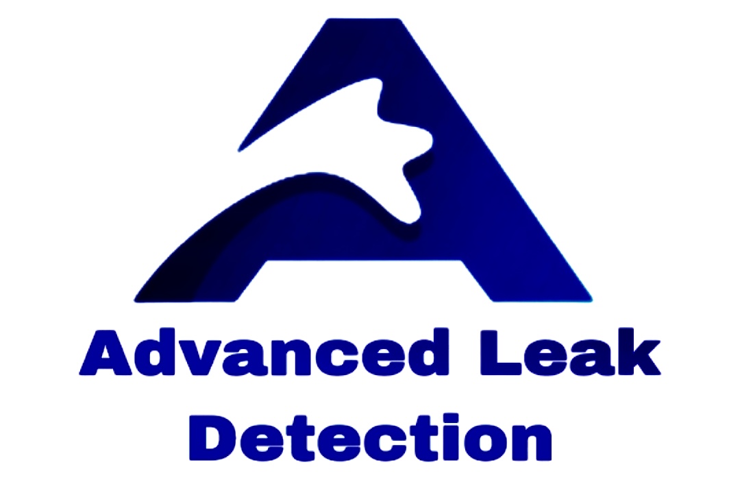 Avatar for Advanced Leak Detection