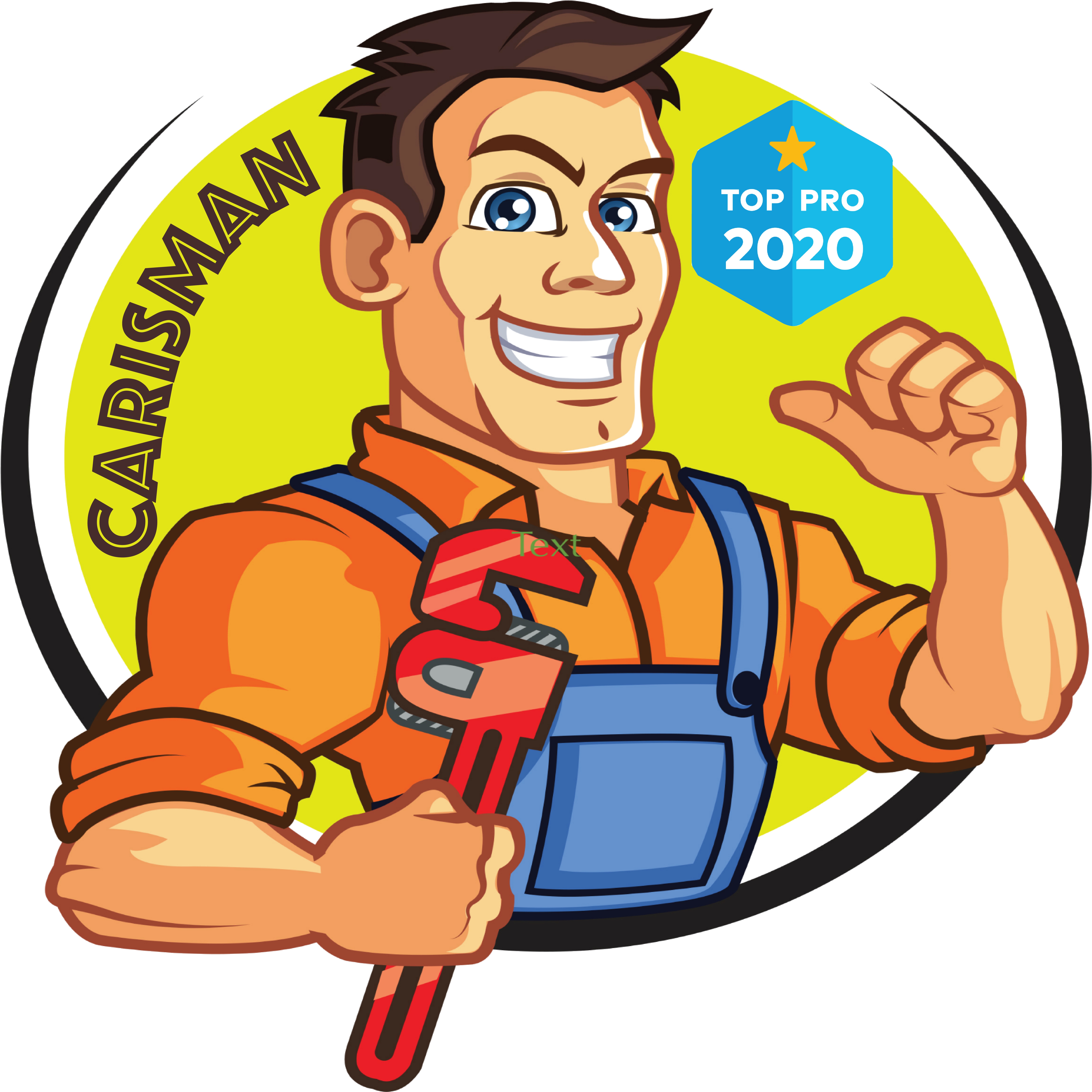 Carisman Pro LLC logo