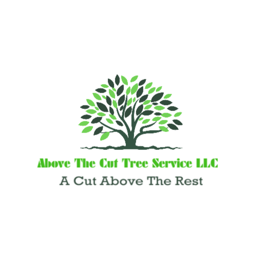 Avatar for Above The Cut Tree Service LLC
