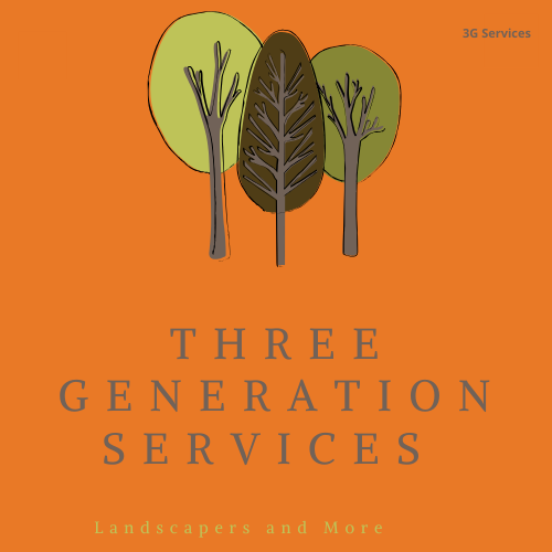 Three Generation Services logo