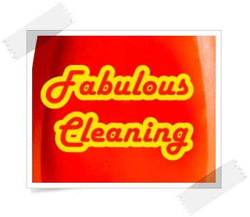 Fabulous cleaning solutions logo
