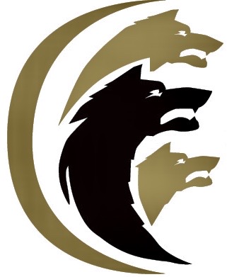 Cerberus home security llc logo