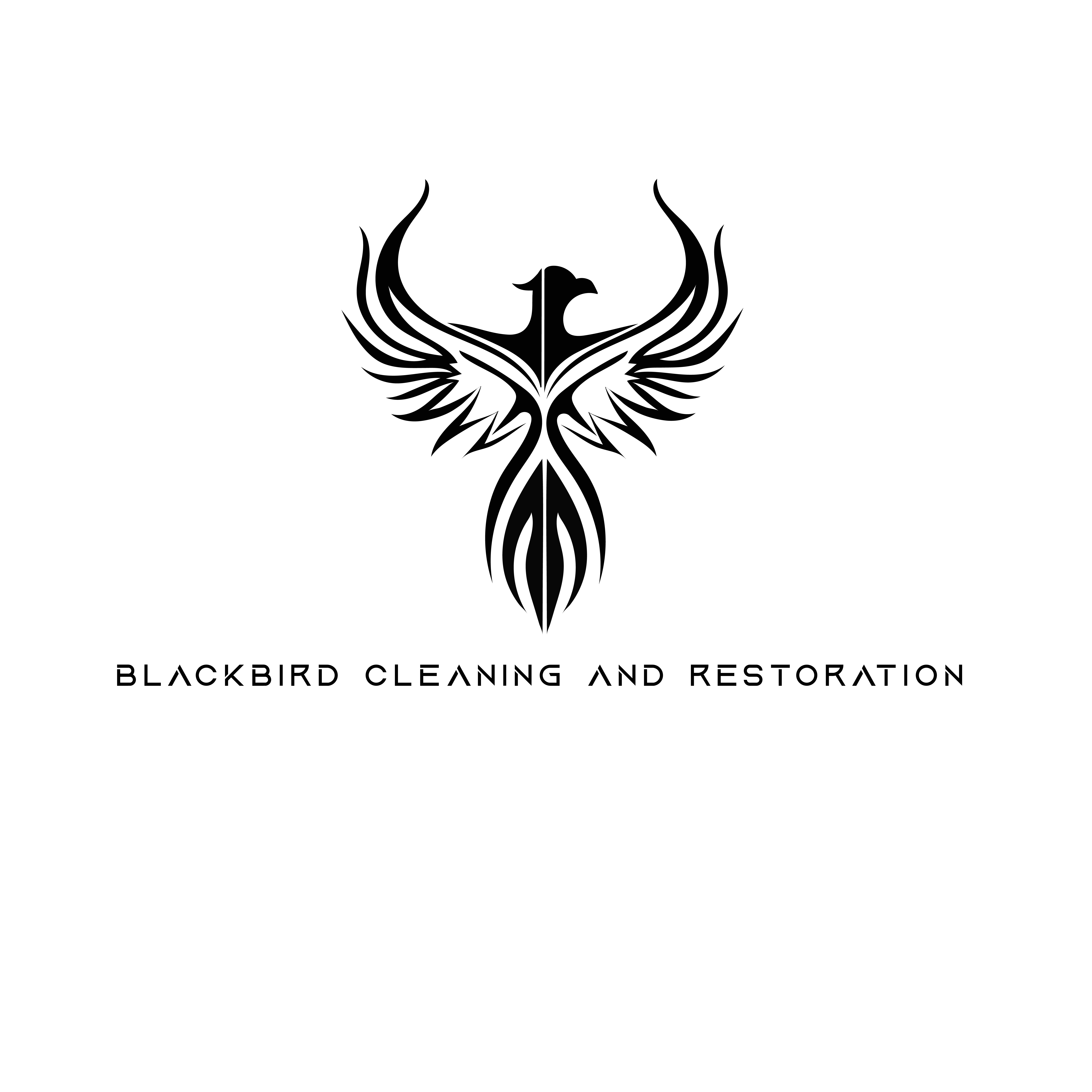 BlackBird Cleaning and Restoration logo