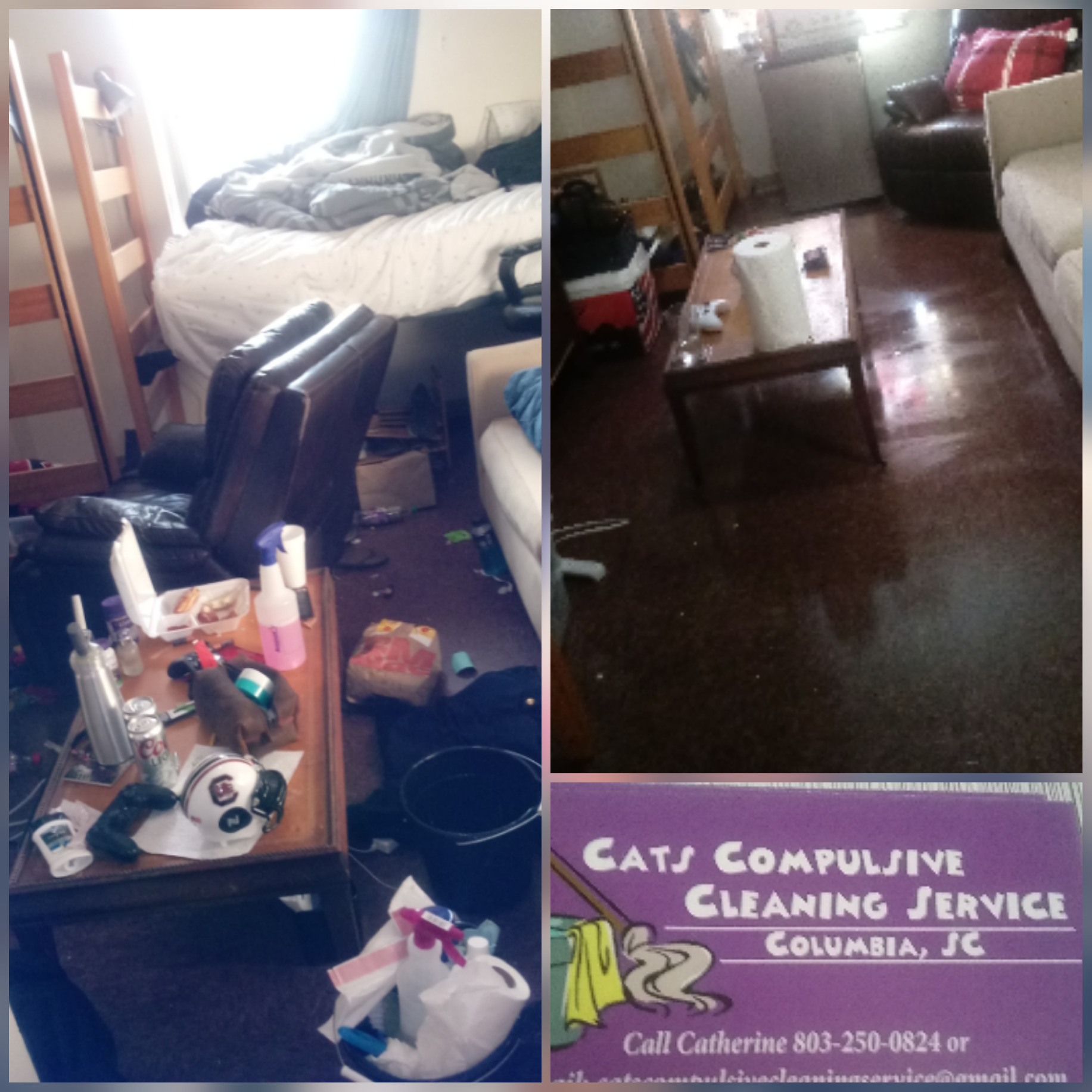 Cats Compulsive cleaning service logo